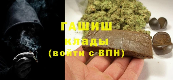 spice Инта