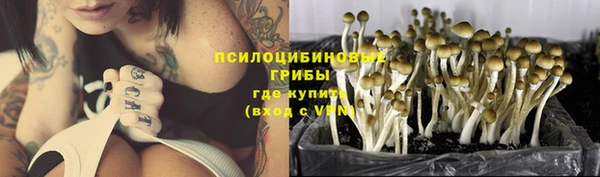 метадон Зеленодольск