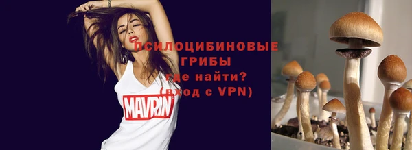 стафф Каменск-Шахтинский