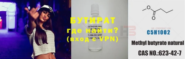spice Инта