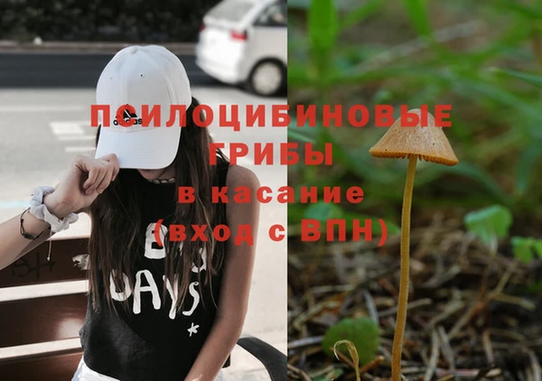 трава Инсар