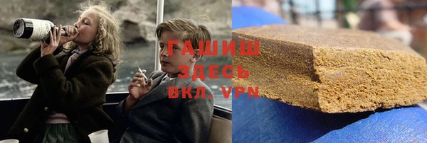 spice Инта