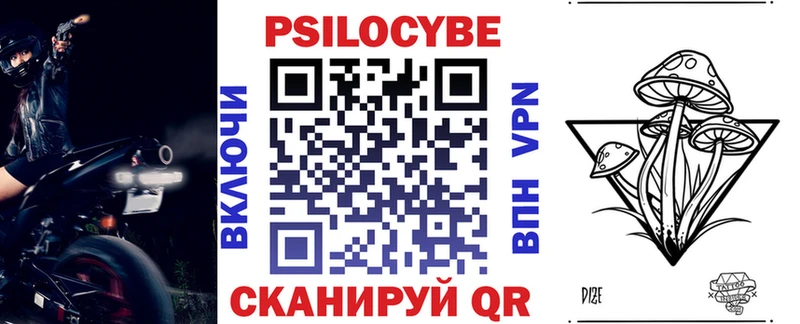 Псилоцибиновые грибы Psilocybe  Котлас 