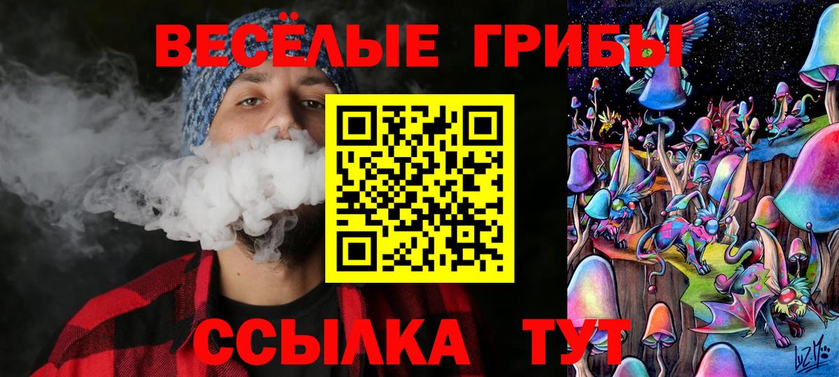 Галлюциногенные грибы прущие грибы  Псилоцибиновые грибы Psilocybe  Котлас  Вход с VPN 